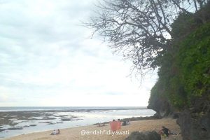 pantai green bowl