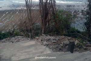 step pantai green bowl