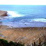 menguras keringat di pantai green bowl