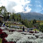 Pesona Taman Edelweis Bali Bagi Pemburu Foto