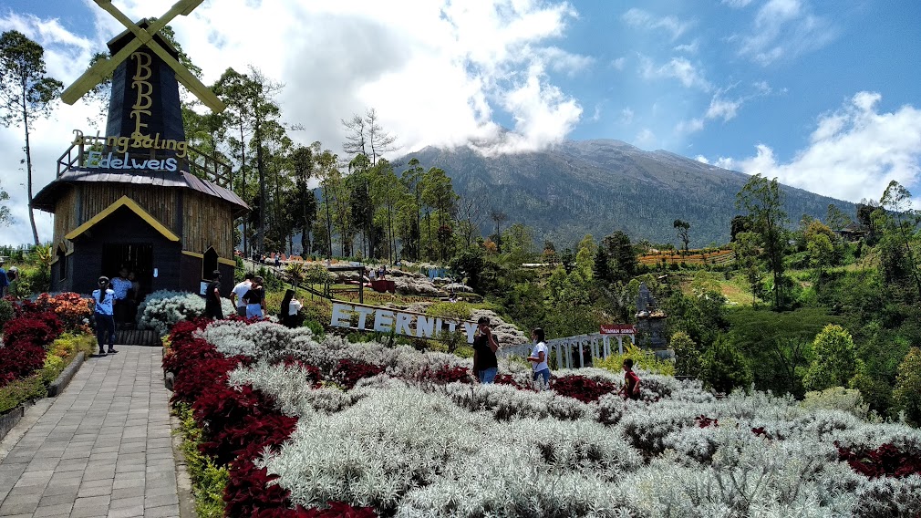 Pesona Taman Edelweis Bali Bagi Pemburu Foto