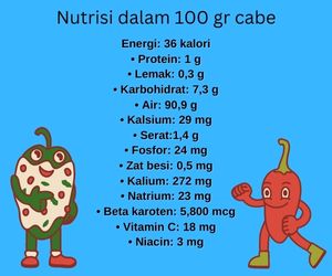 nutrisi cabe