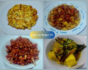 lauk low budget #5