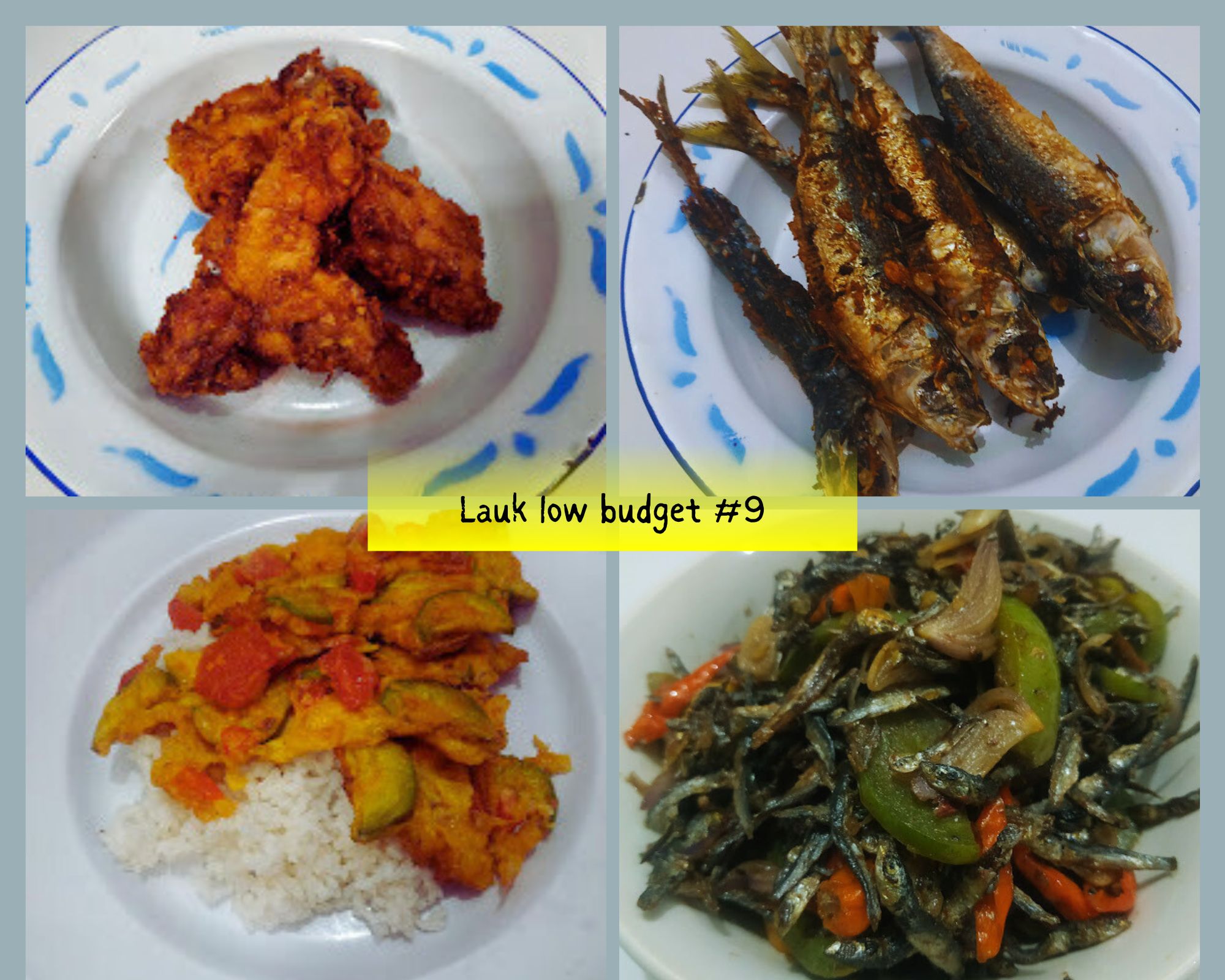 lauk low budget #9