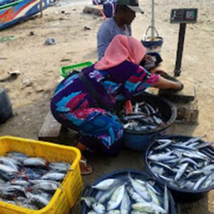 penjual ikan pasar kedonganan