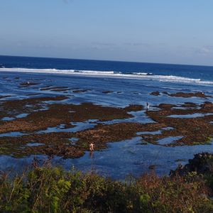 birunya laut teluk pantai geger